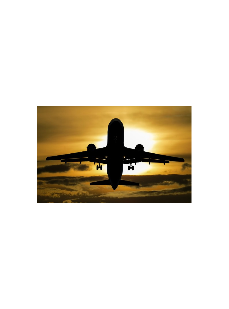 Acheter base de donnée SMS Optin Acheteur Billet d avion en vente privee