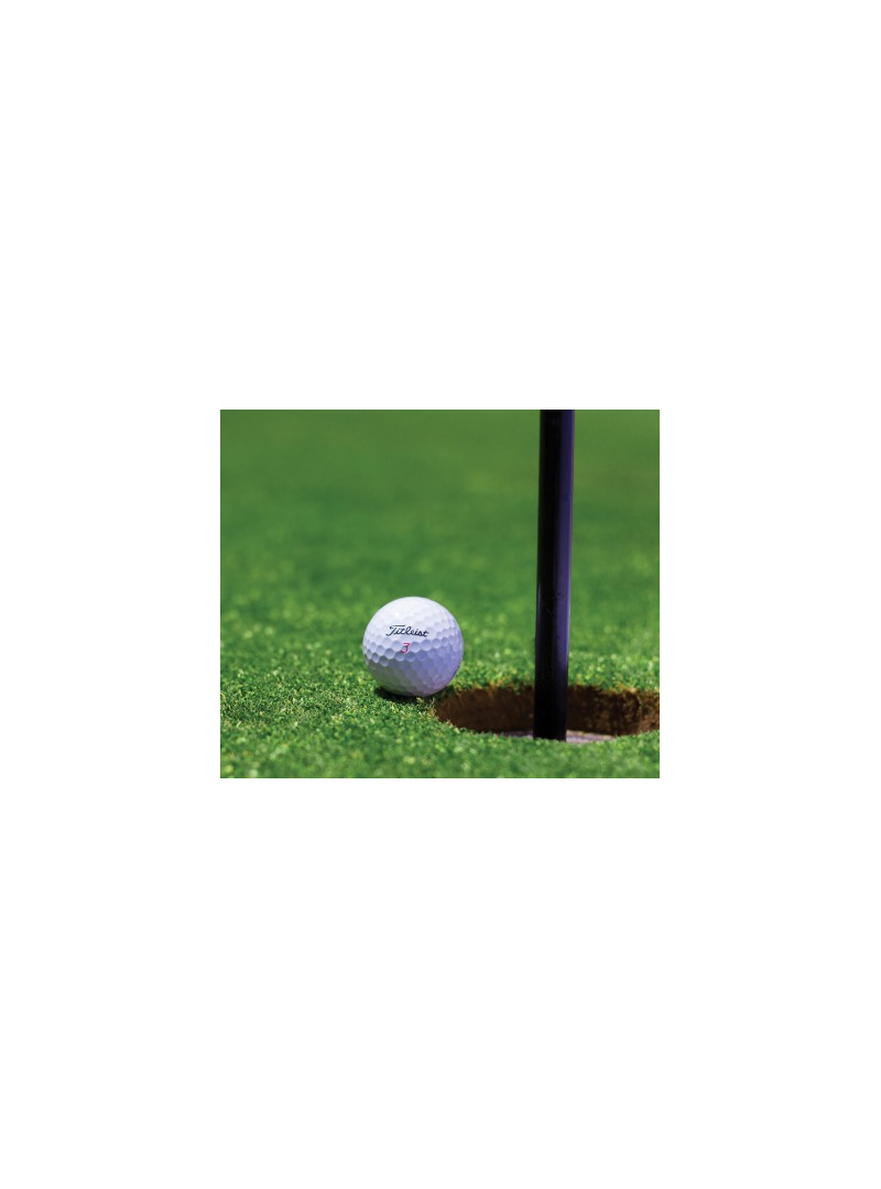 Acheter base de donnée SMS Optin Acheteur de materiel de golf en vente privee