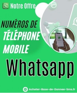 Acheter Base de données de Numéros de Téléphone Mobile WhatsApp Sénégal