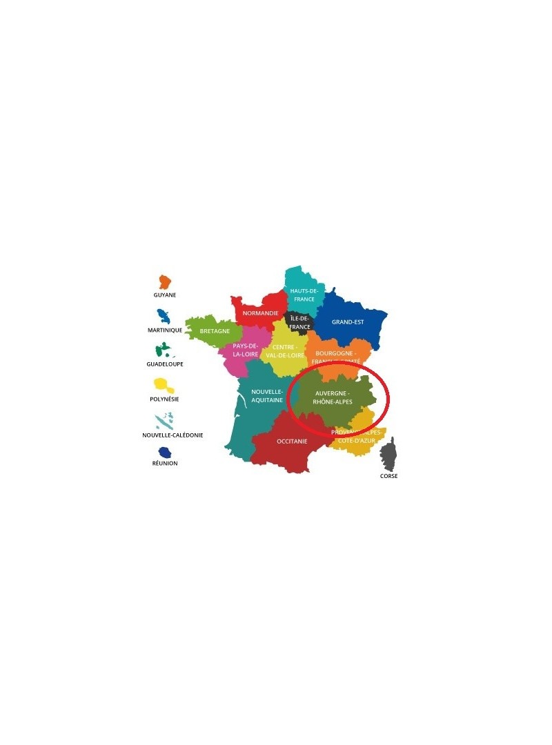 Acheter base de donnée SMS particuliers Région Auvergne-Rhône-Alpes