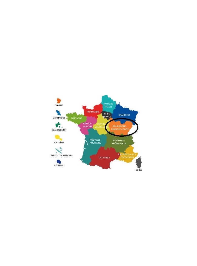Acheter base de donnée SMS particuliers Région Bourgogne-Franche-Comté