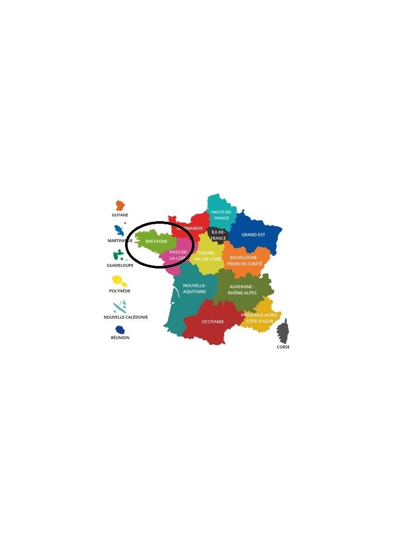 Acheter base de donnée SMS particuliers Région Bretagne
