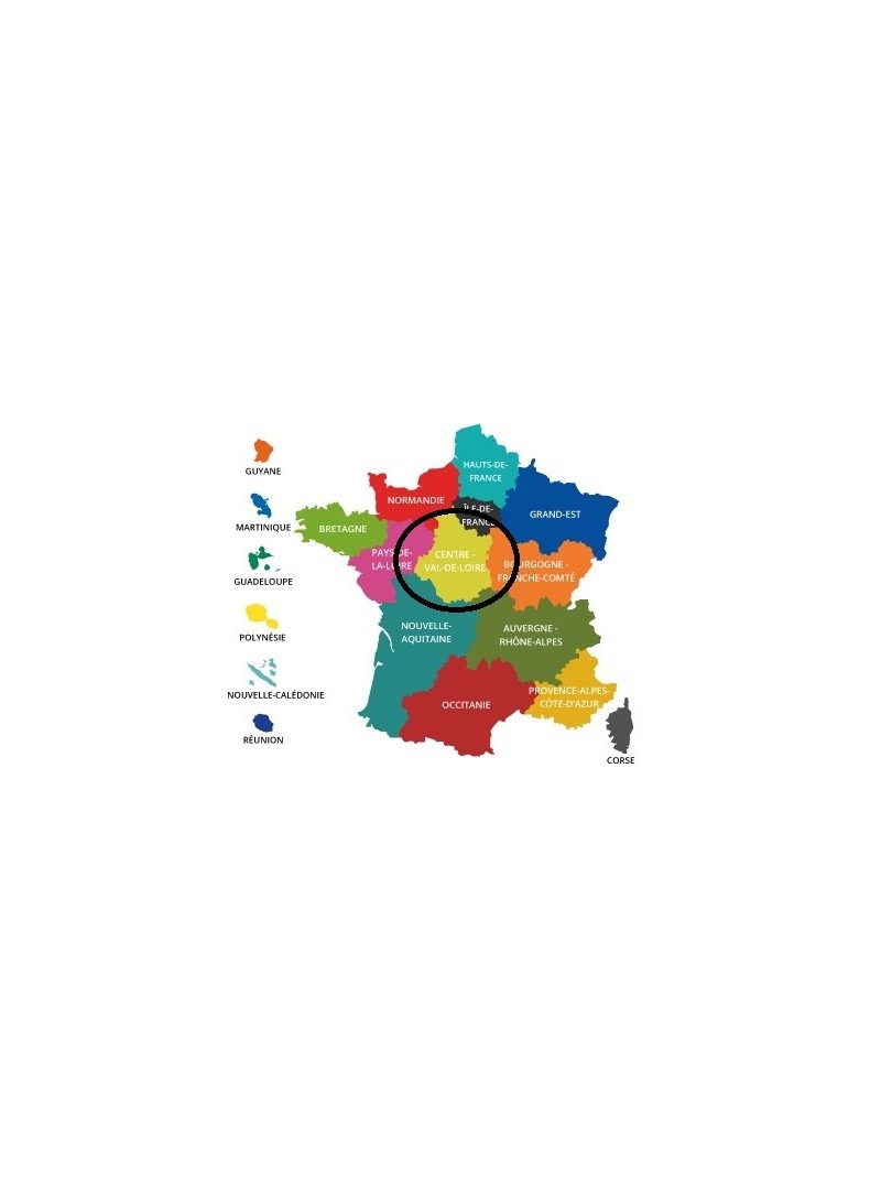 Acheter base de donnée SMS particuliers Région Centre-Val de Loire