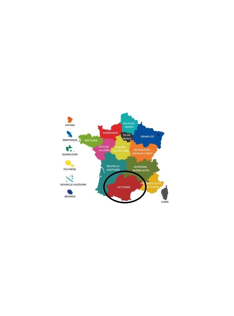Acheter base de donnée SMS particuliers Région Occitanie