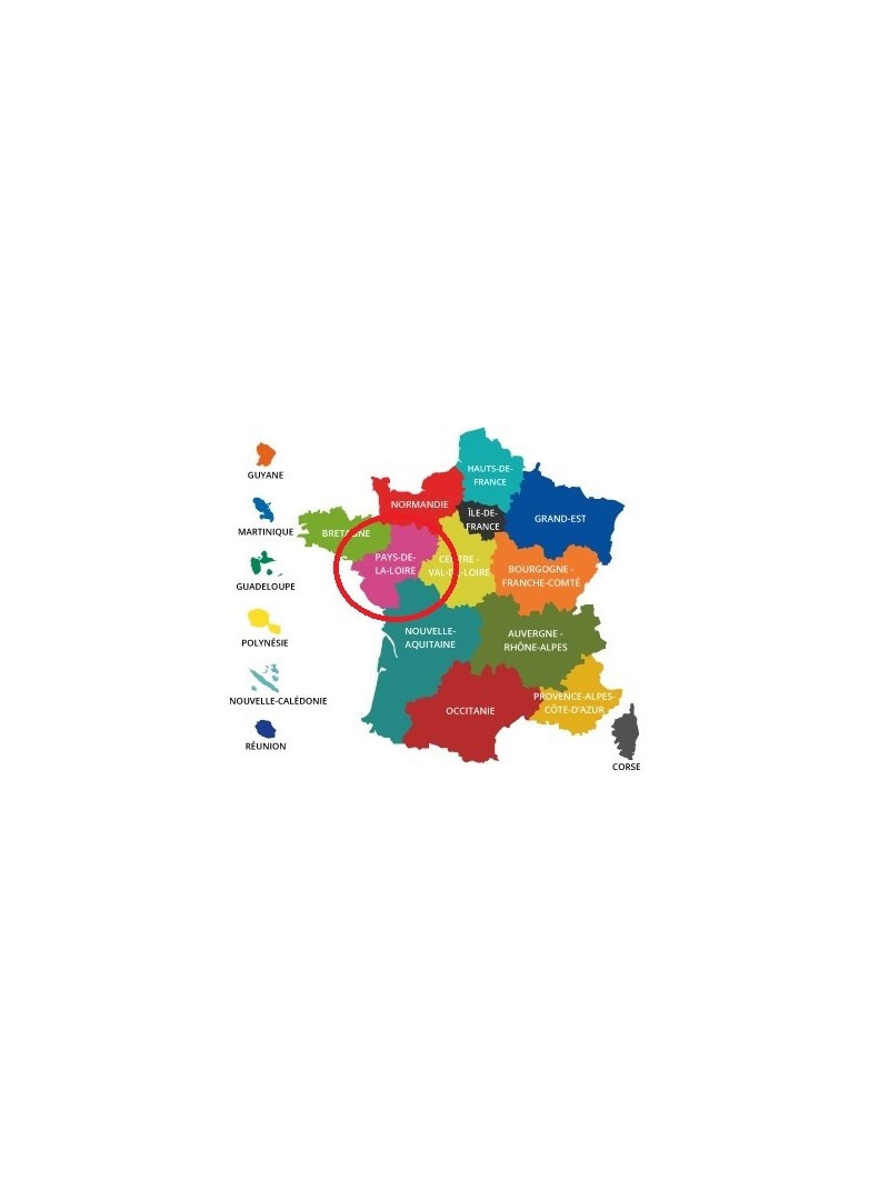 Acheter base de donnée SMS professionnels Région Pays de la Loire