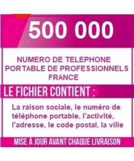 500 000 NUMÉRO DE TÉLÉPHONES PORTABLES D ENTREPRISE DE FRANCE