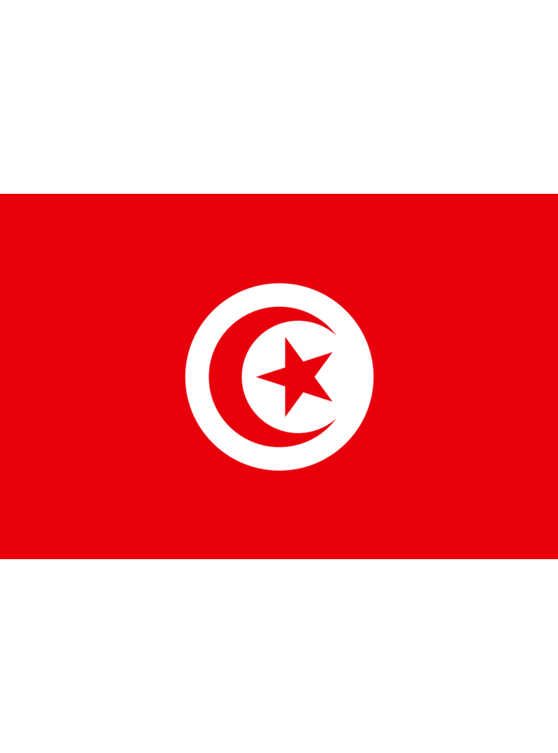 ACHETER BASE DE DONNÉE SMS PROFESSIONNEL TUNISIE - 780 000 NUMÉRO DE MOBILE