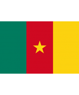 ACHETER BASE DE DONNÉE SMS PROFESSIONNEL CAMEROUN