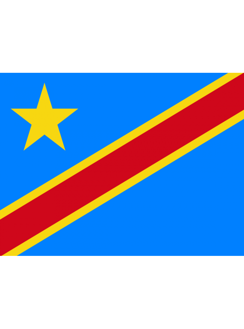 ACHETER BASE DE DONNÉE SMS PROFESSIONNEL RÉPUBLIQUE DÉMOCRATIQUE DU CONGO - 780 000 NUMÉRO DE MOBILE