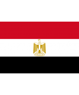 ACHETER BASE DE DONNÉE SMS PROFESSIONNEL EGYPTE