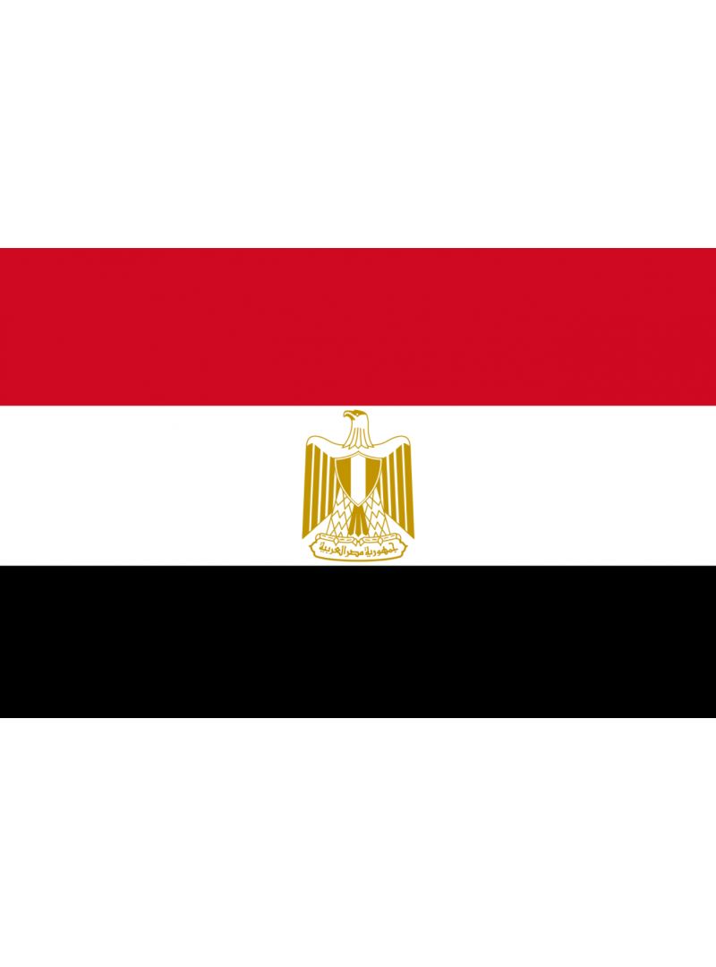 ACHETER BASE DE DONNÉE SMS PROFESSIONNEL EGYPTE - 780 000 NUMÉRO DE MOBILE