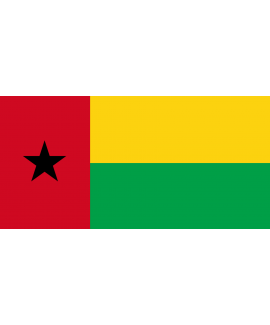 ACHETER BASE DE DONNÉE SMS PROFESSIONNEL GUINÉE-BISSAU