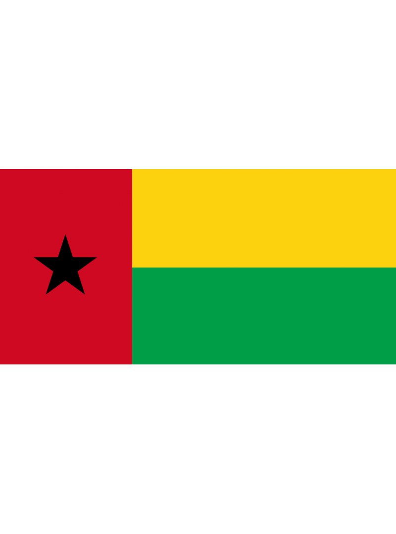 ACHETER BASE DE DONNÉE SMS PROFESSIONNEL GUINÉE-BISSAU  - 780 000 NUMÉRO DE MOBILE