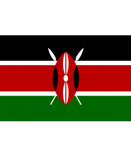 ACHETER BASE DE DONNÉE SMS PROFESSIONNEL KENYA