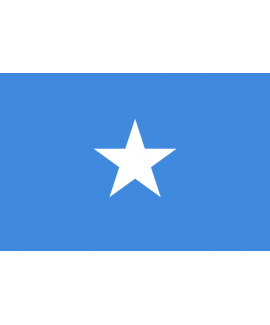 ACHETER BASE DE DONNÉE SMS PROFESSIONNEL SOMALIE